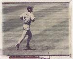 Taking the Field # 51 I Suzuki